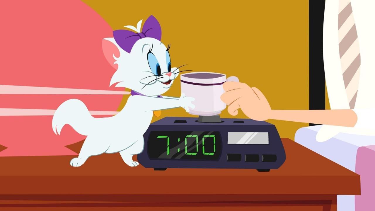 Tom et Jerry Show S1 E19