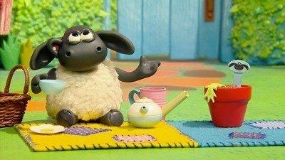Voici Timmy