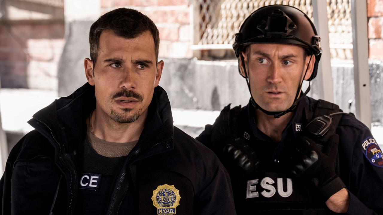 New York Unité Spéciale