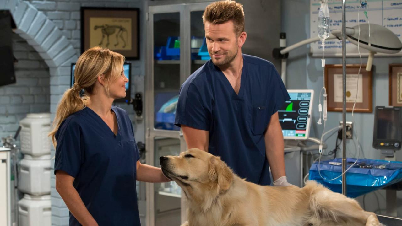 La Fête à la maison : 20 ans après S2 E5