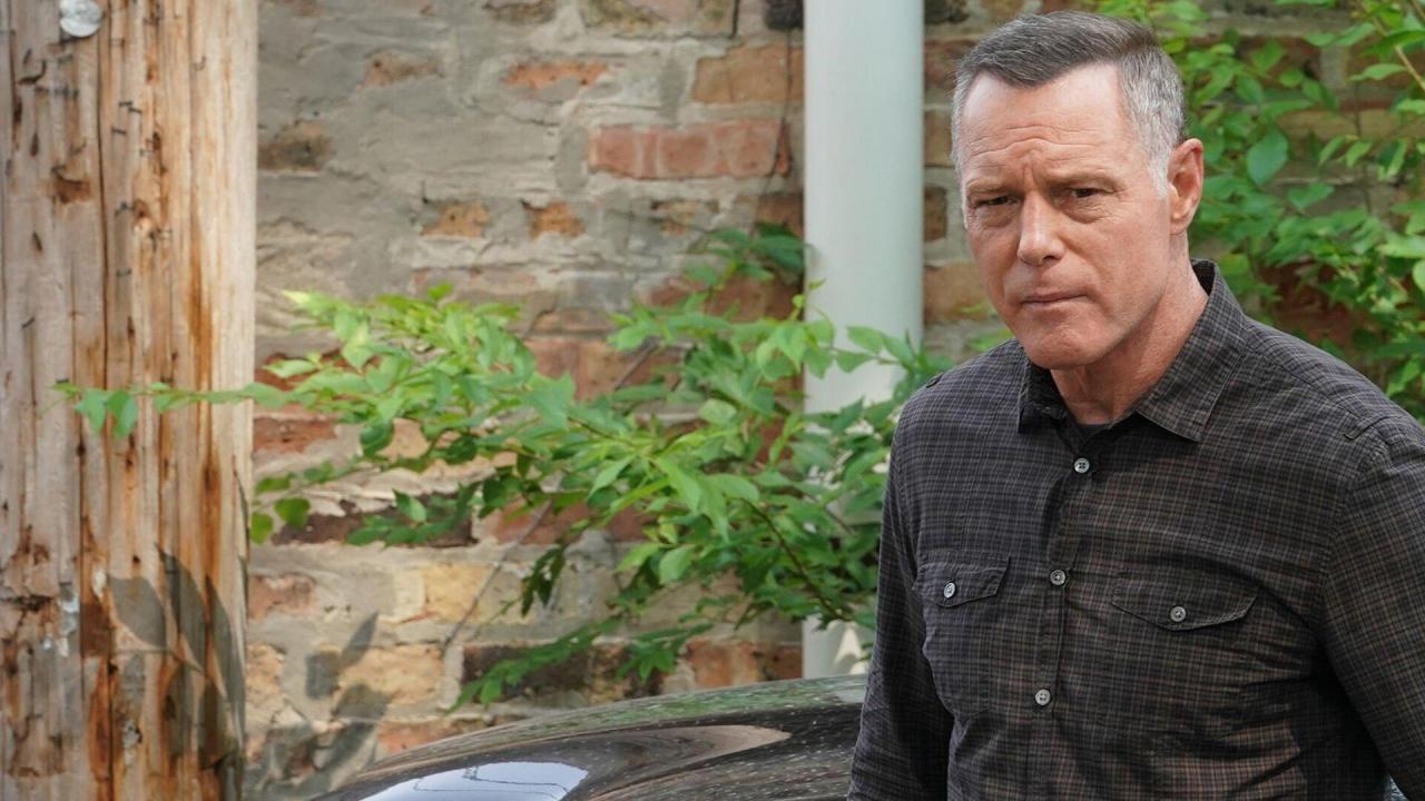 Chicago Police Department S9 E20