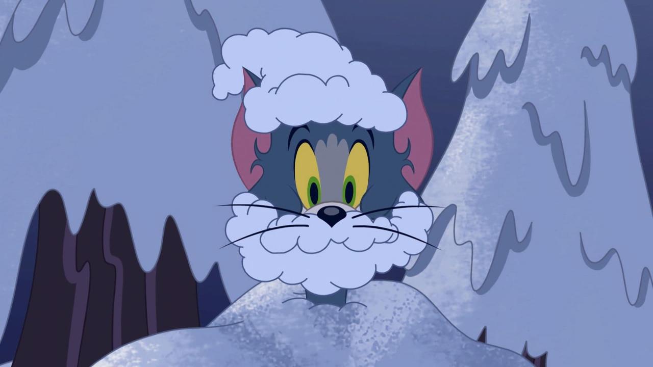 Tom et Jerry Show