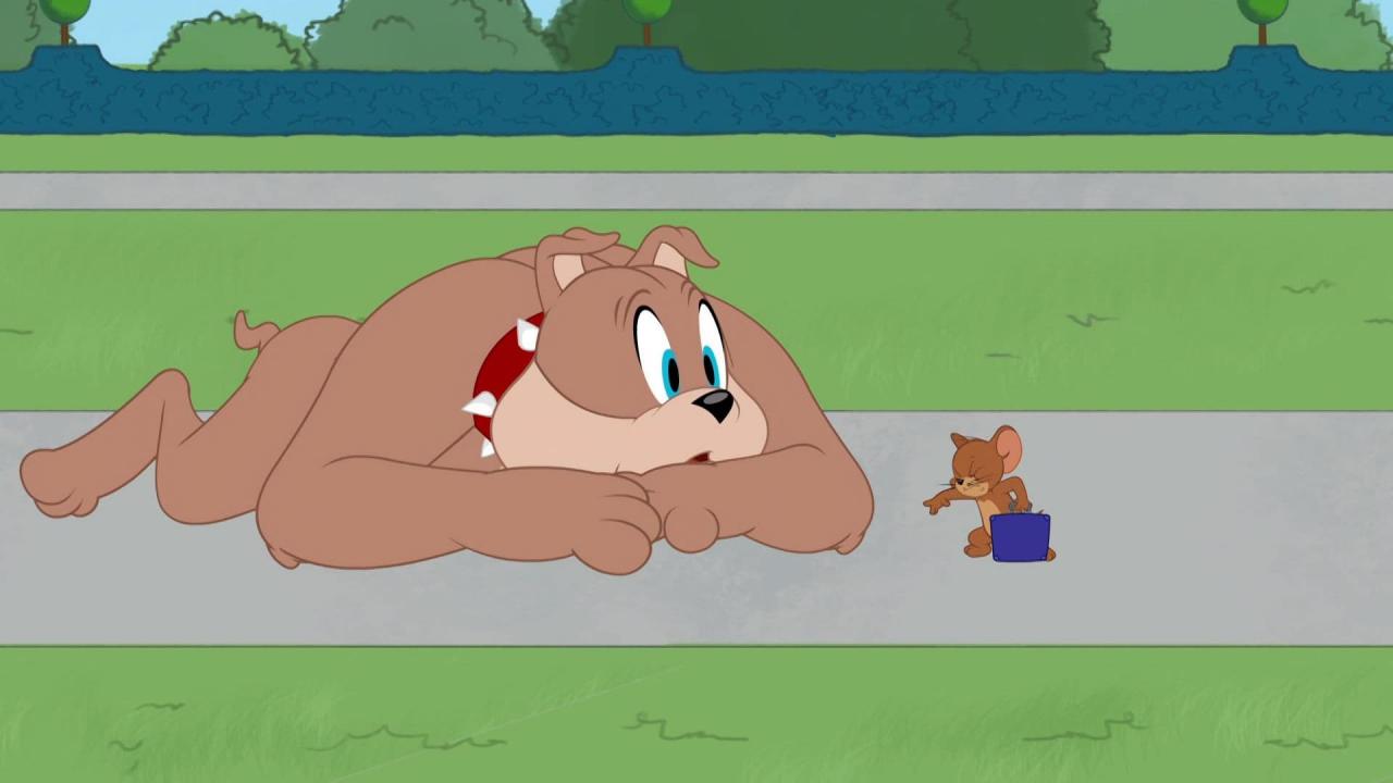 Tom et Jerry Show