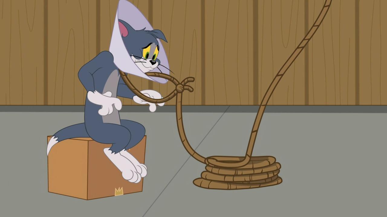 Tom et Jerry Show