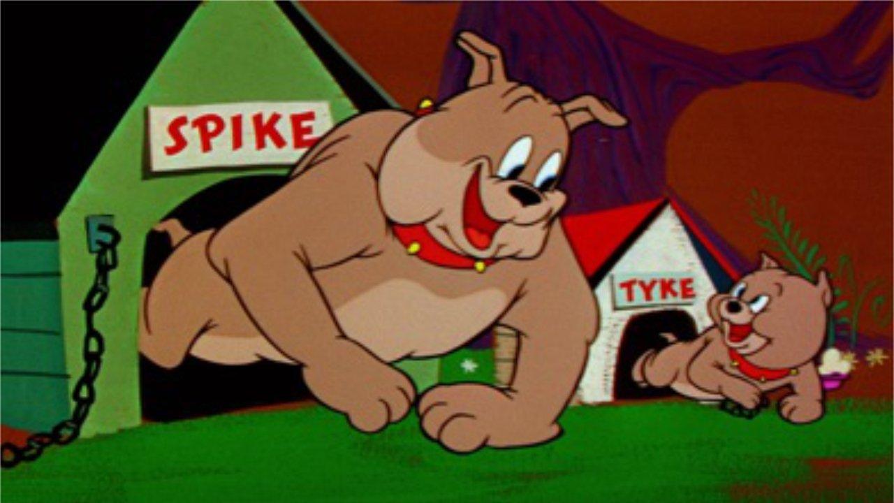 Tom et Jerry Show