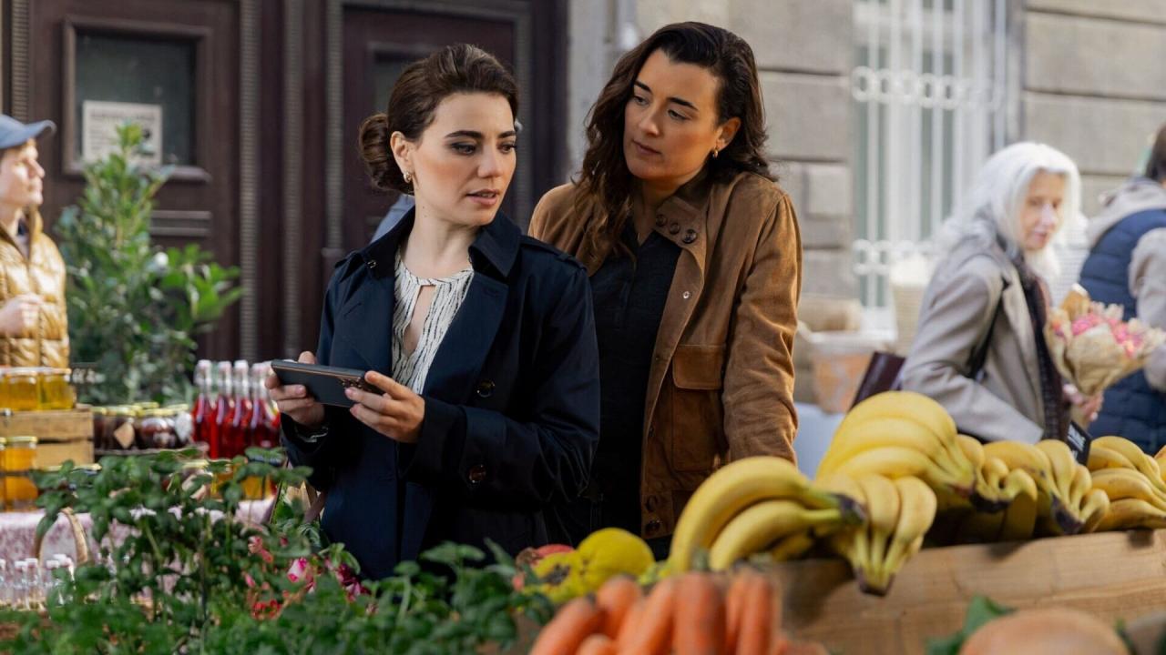 NCIS : Tony & Ziva S1 E7