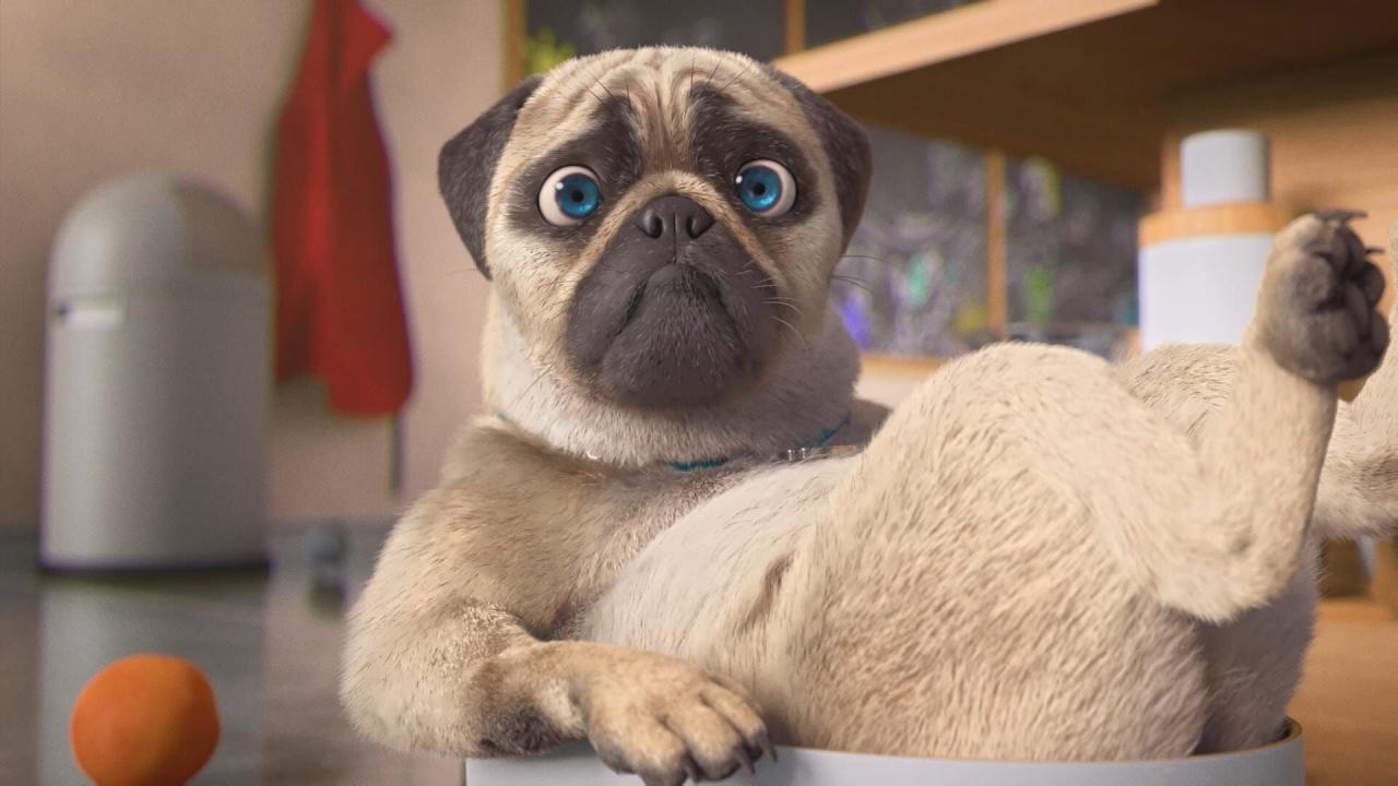 Mike, une vie de chien S1 E67