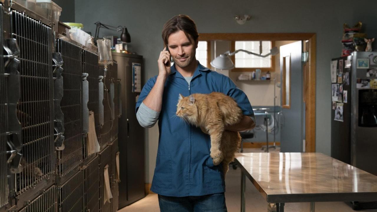 Heartland S11 E14