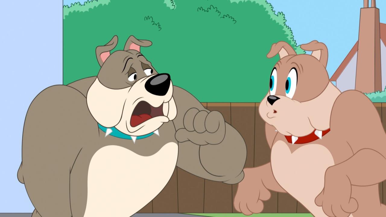 Tom et Jerry Show S5 E22