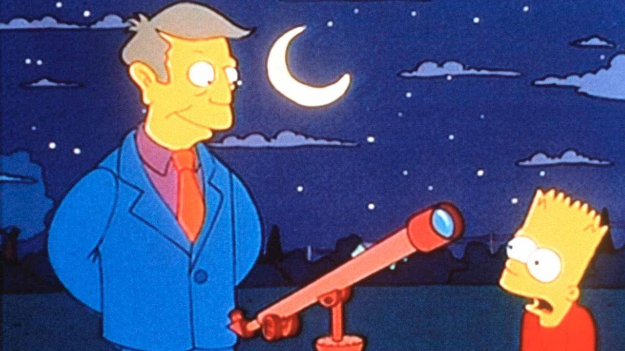 Les Simpson S6 E14