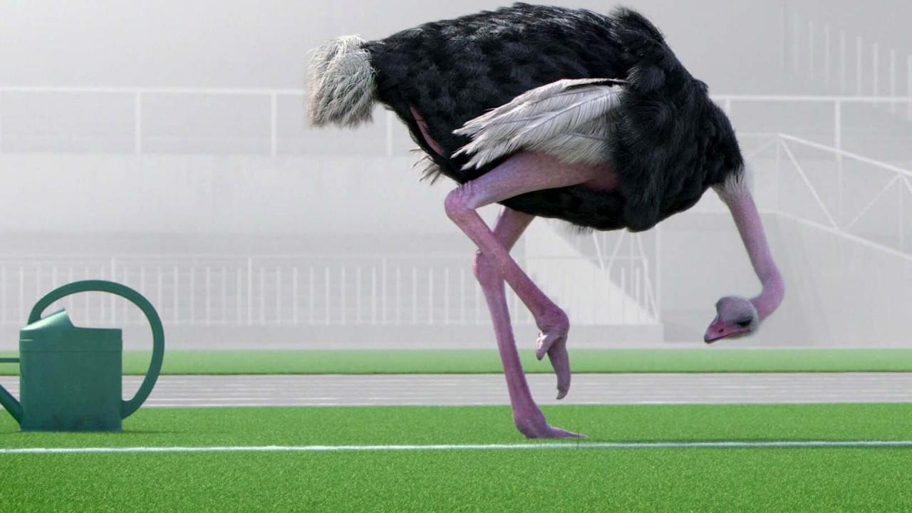 Athleticus S1 E10