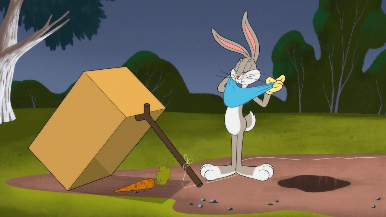Looney Tunes Cartoons
