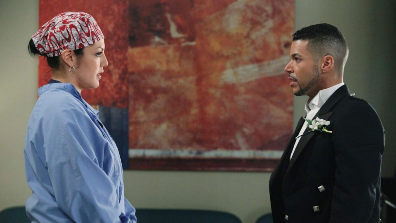 Grey's Anatomy S7 E12