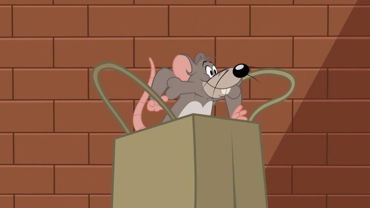 Tom et Jerry Show