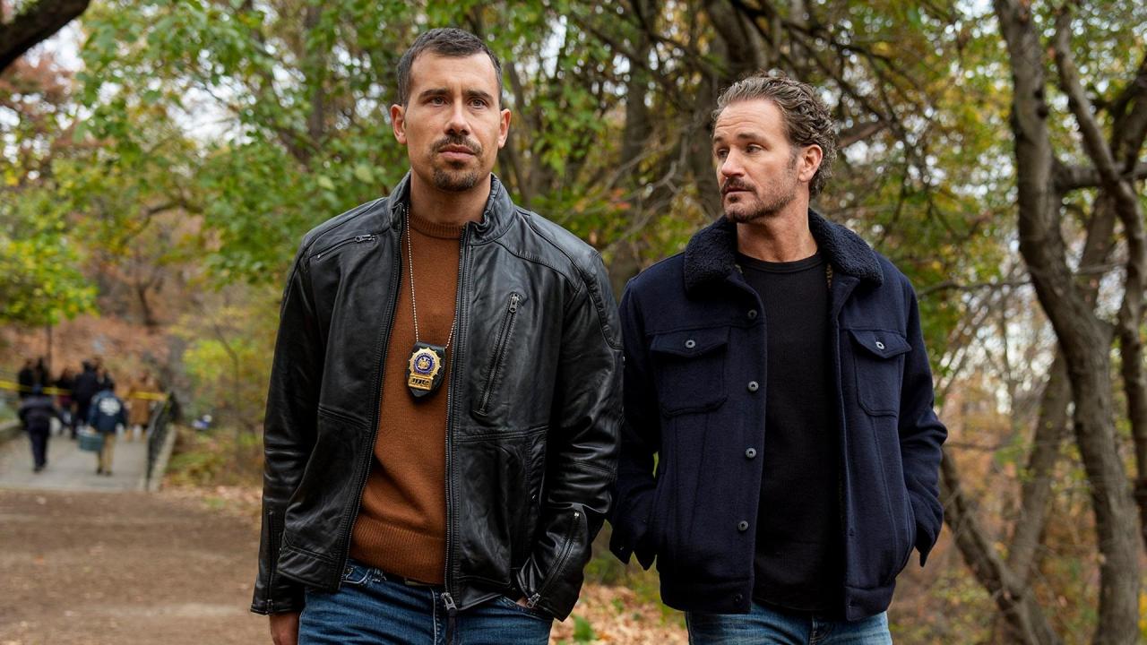 New York Unité Spéciale