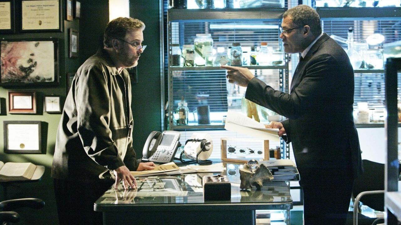 Les Experts S9 E10