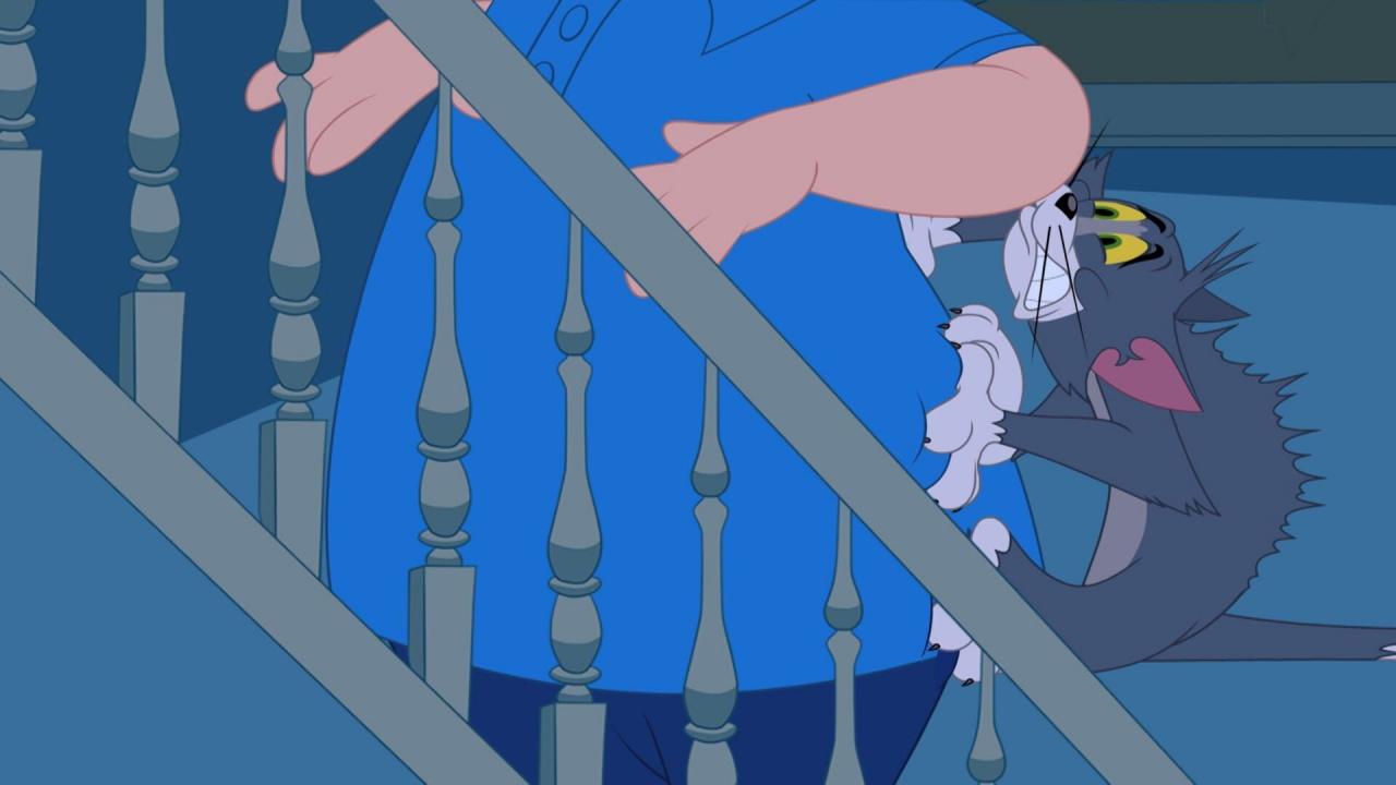 Tom et Jerry Show S5 E12