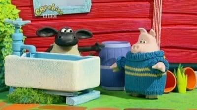 Voici Timmy