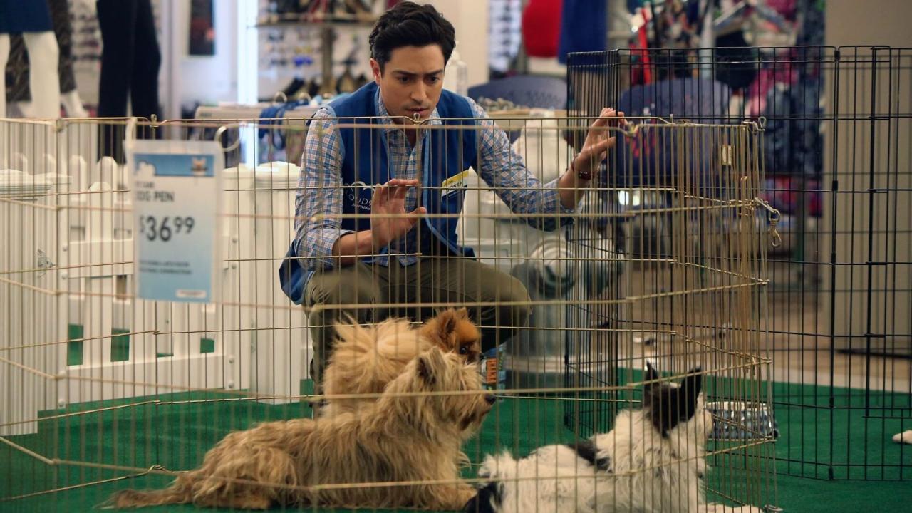 Superstore S2 E6