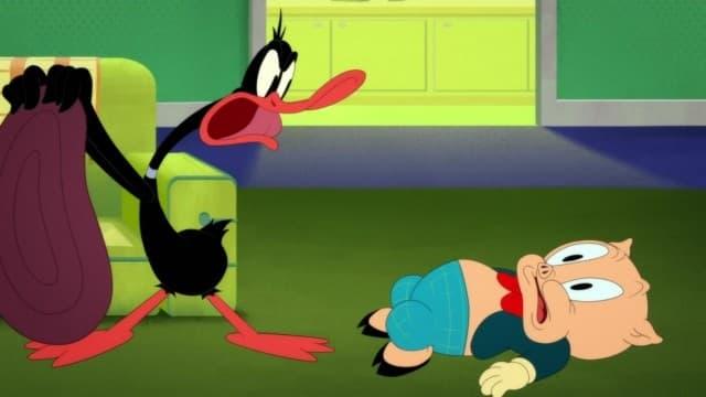 Looney Tunes Cartoons