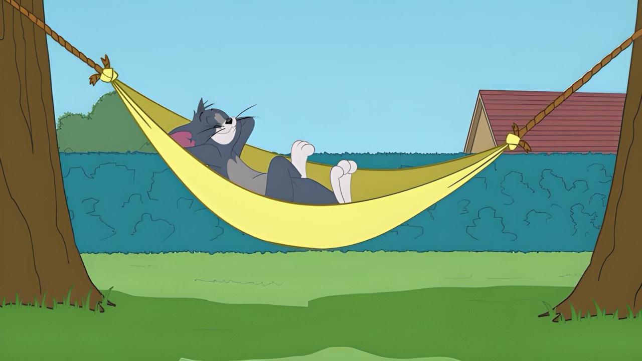 Tom et Jerry Show S2 E1