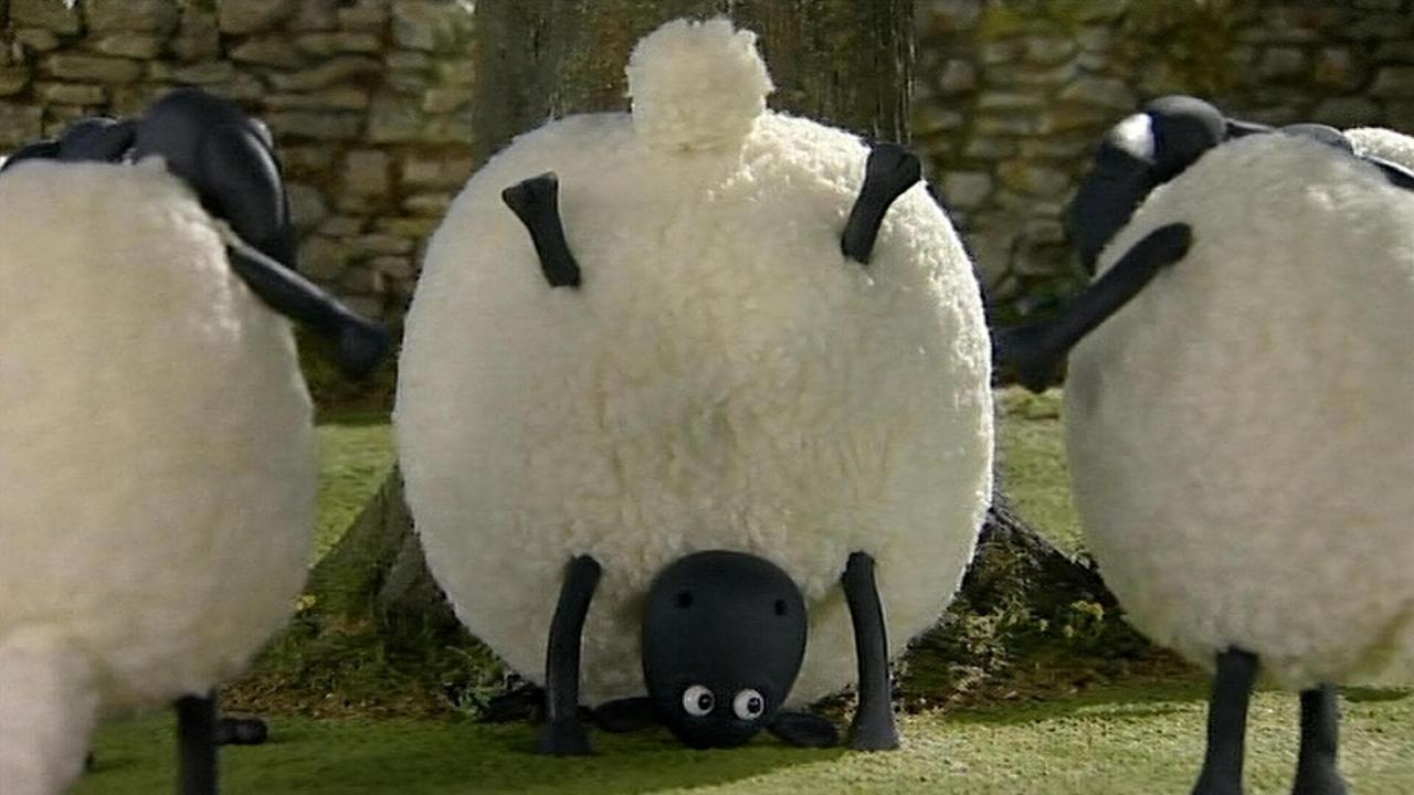 Shaun le mouton S1 E28