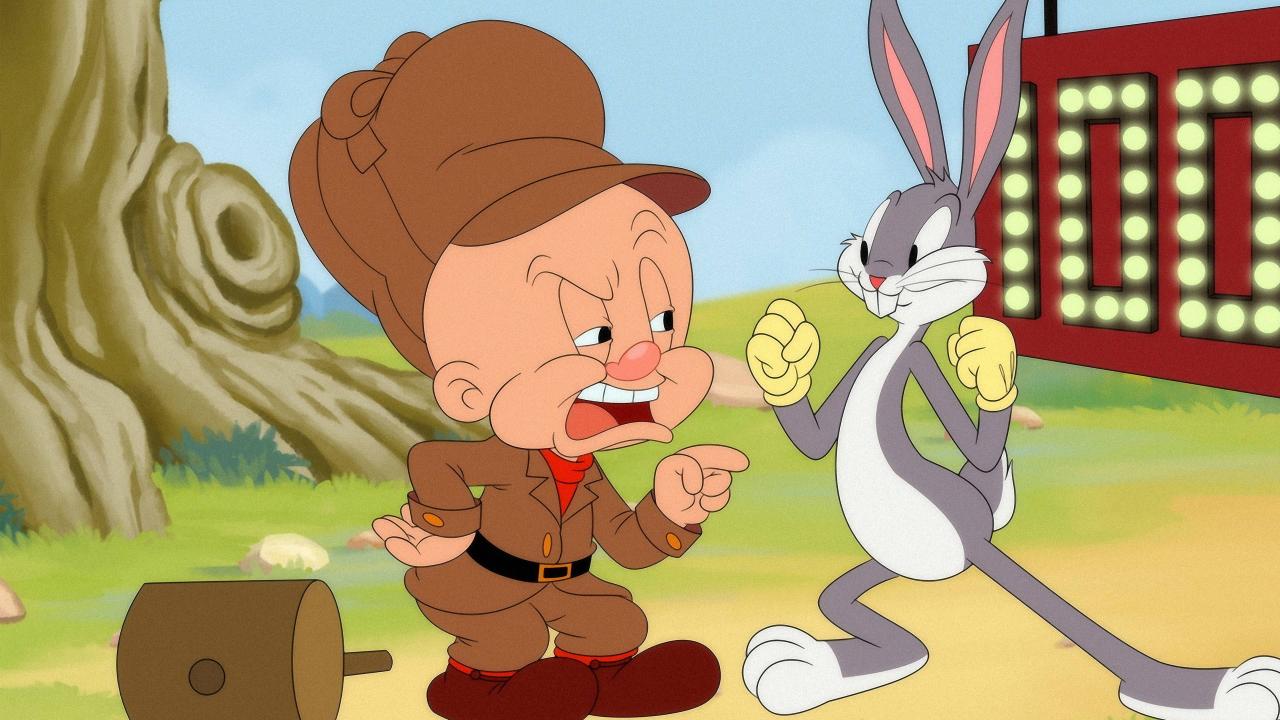 Looney Tunes Cartoons