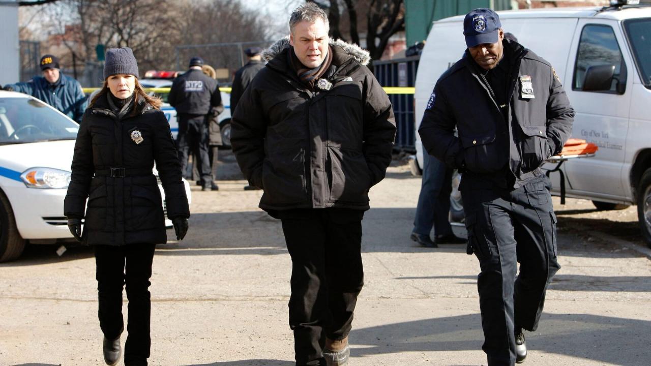 New York Section Criminelle S8 E11