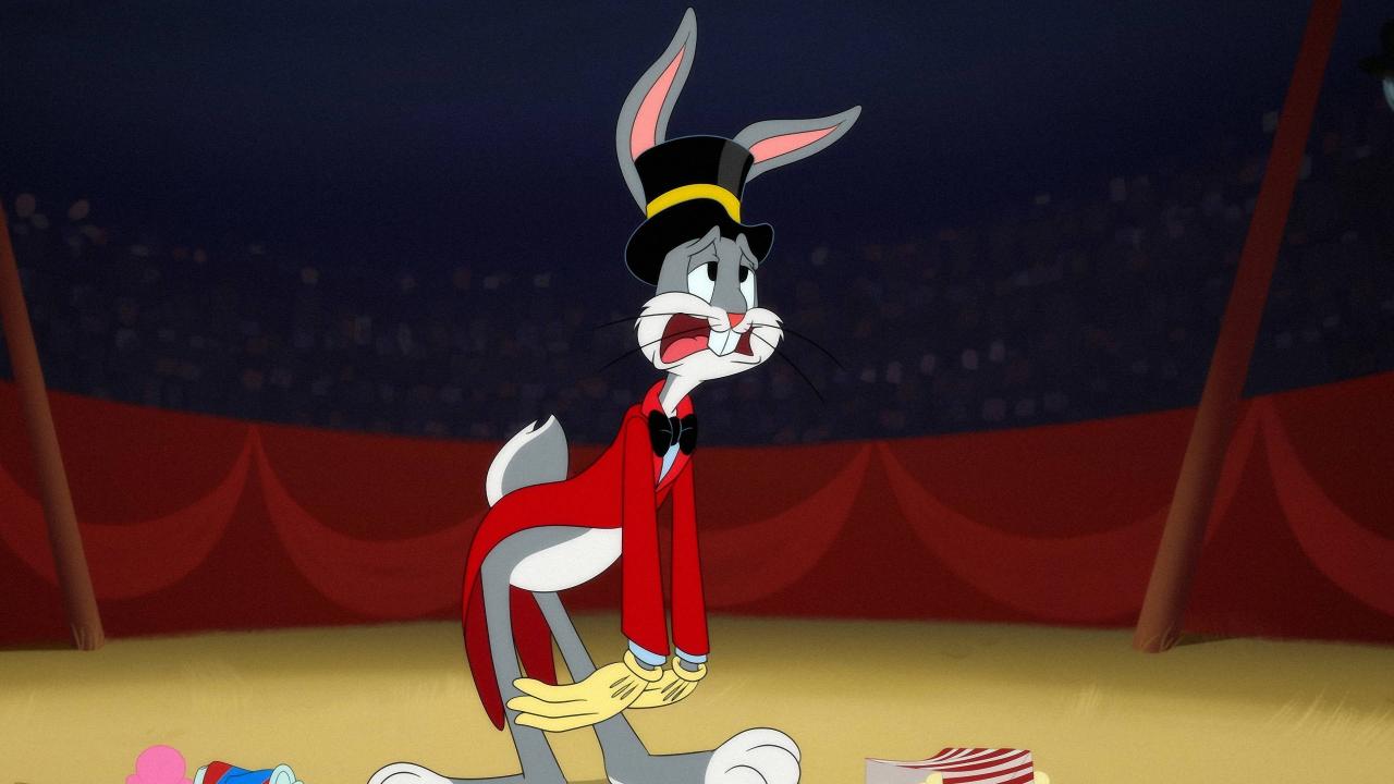 Looney Tunes Cartoons