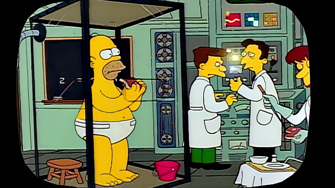 Les Simpson S1 E7