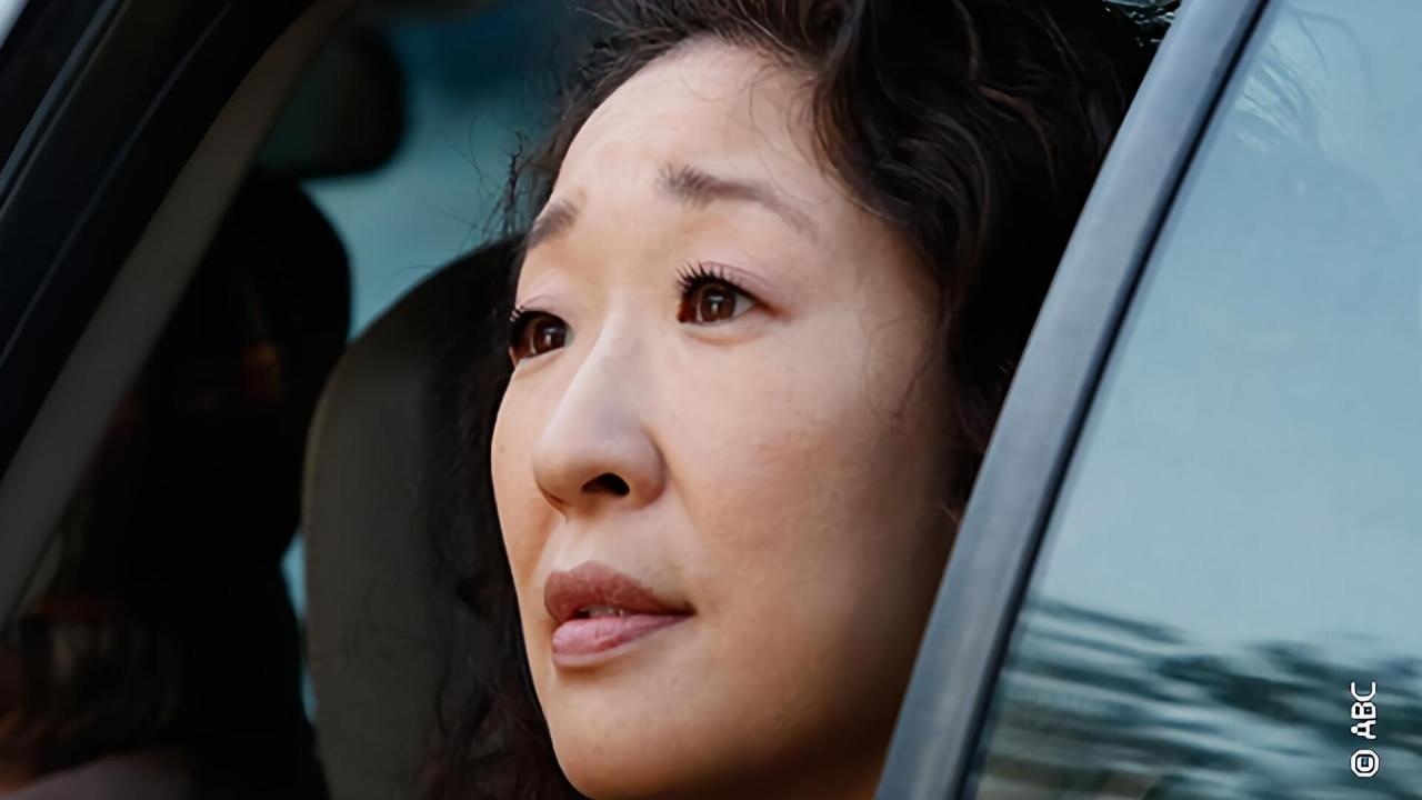 Grey's Anatomy S10 E23