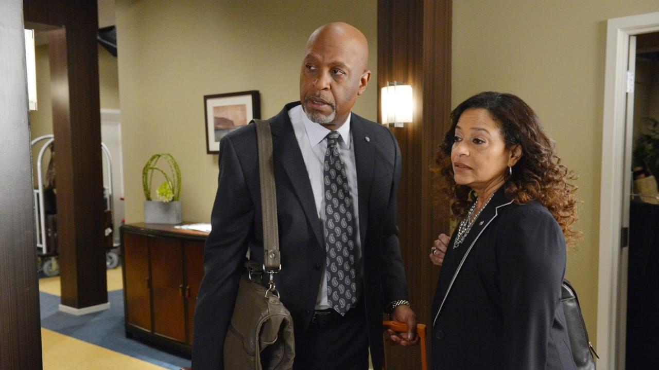 Grey's Anatomy S8 E21