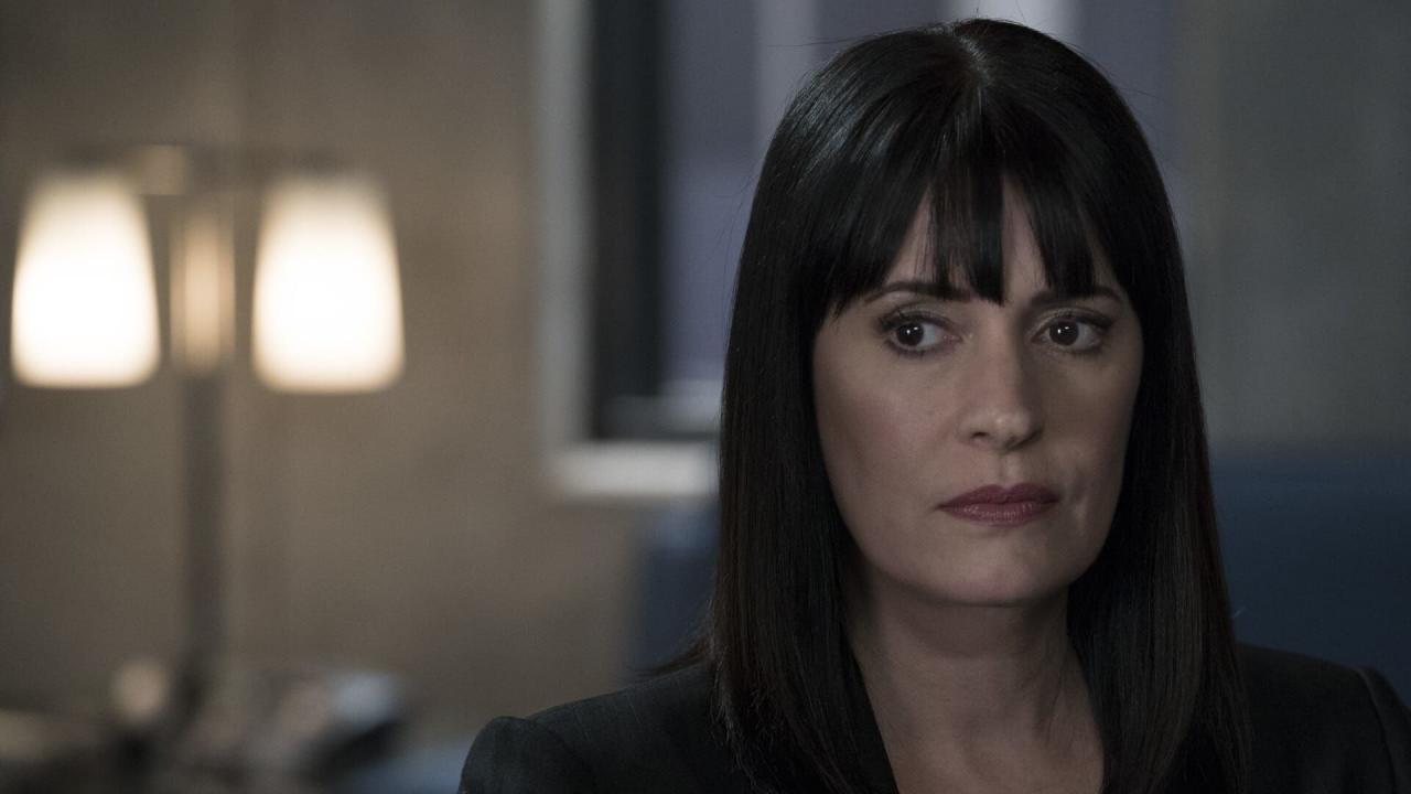 Esprits criminels S13 E21