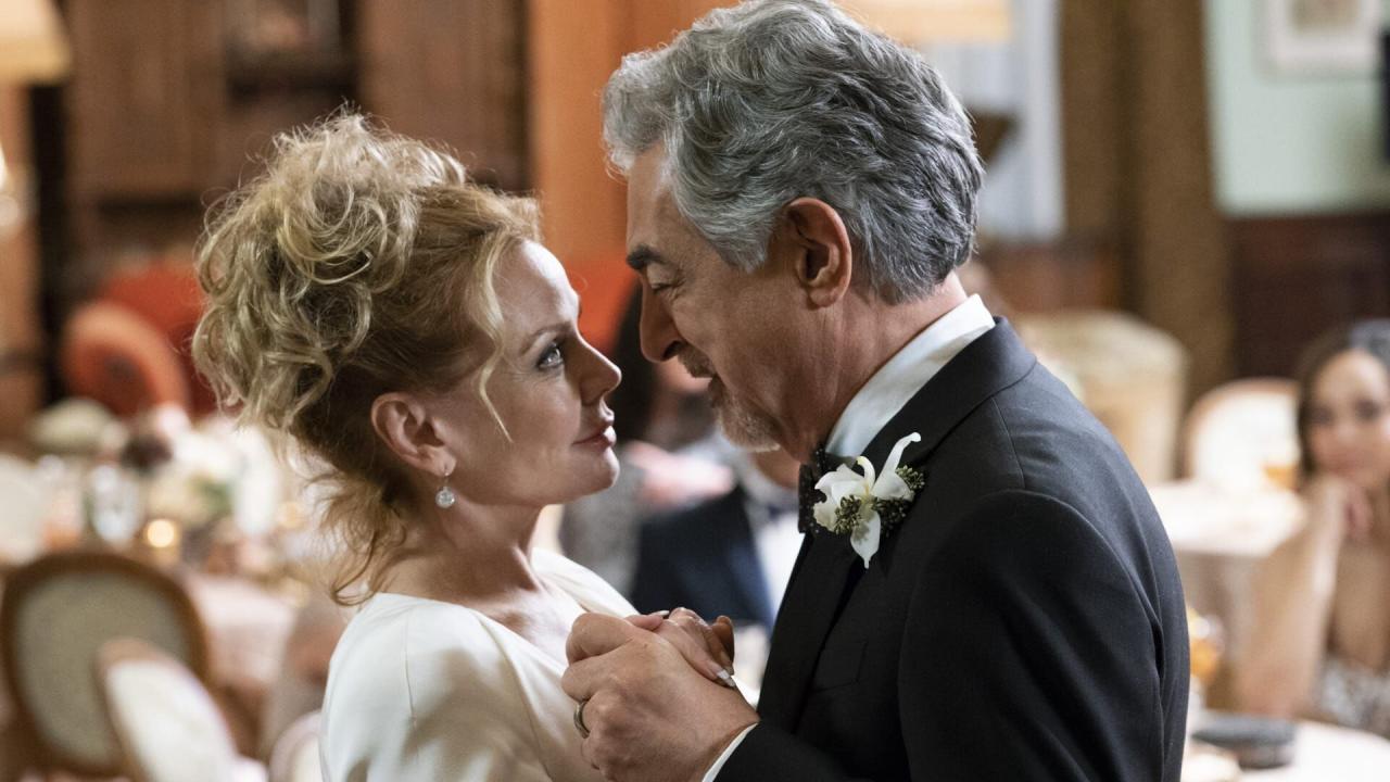 Esprits criminels S14 E15