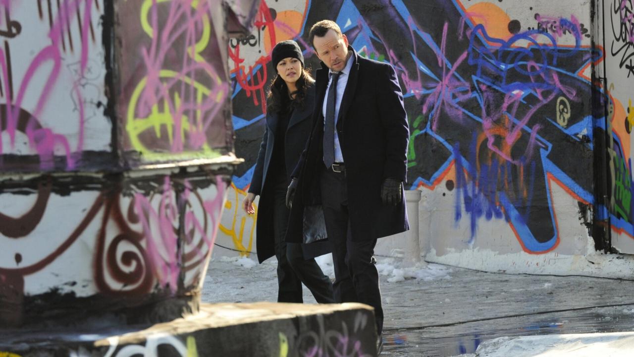 Blue Bloods S4 E14