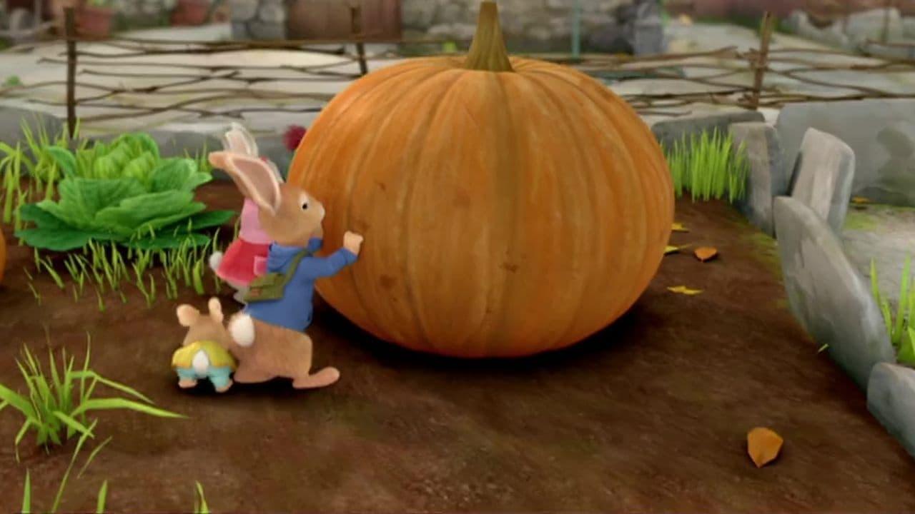 Pierre Lapin