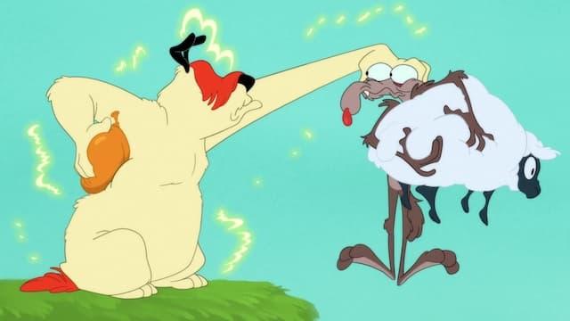 Looney Tunes Cartoons