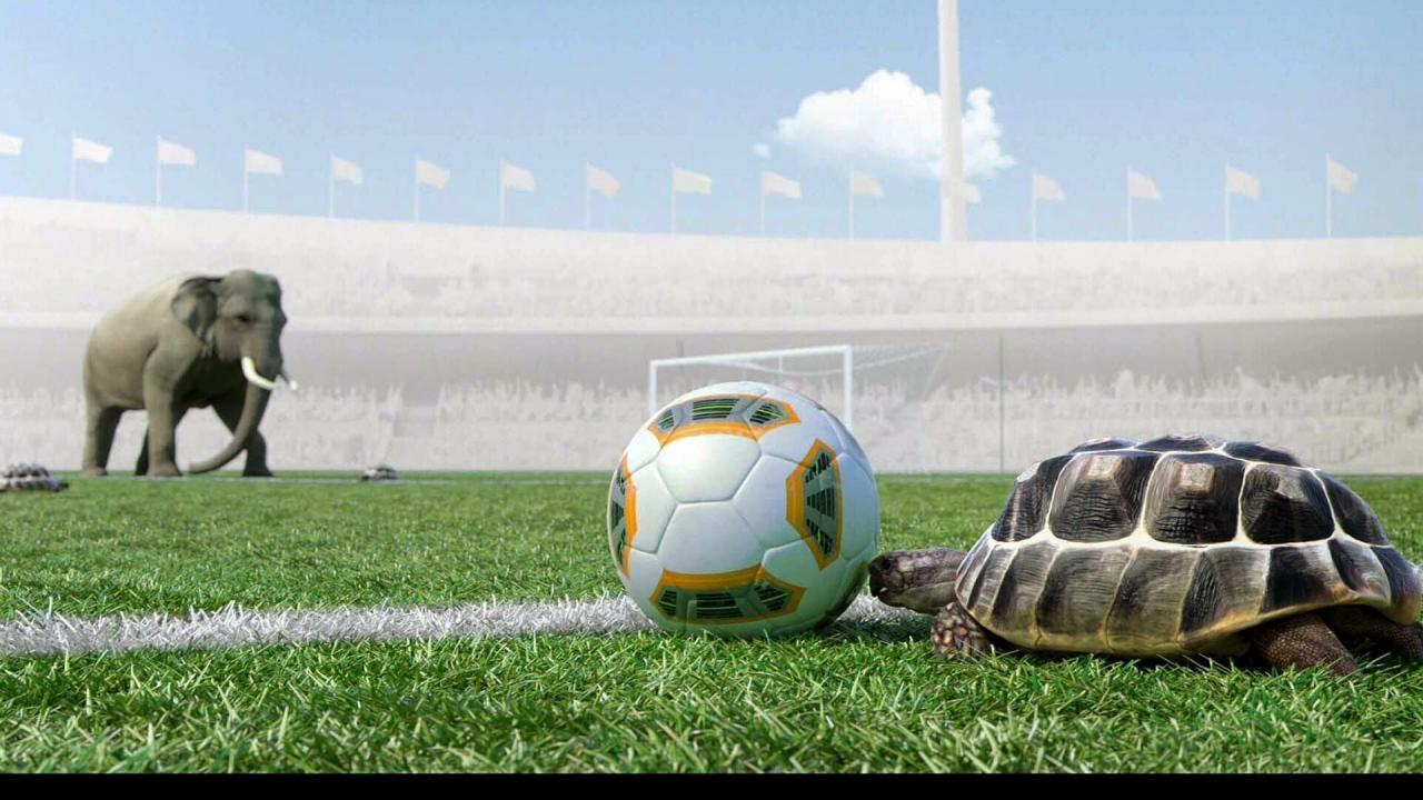 Athleticus S1 E12