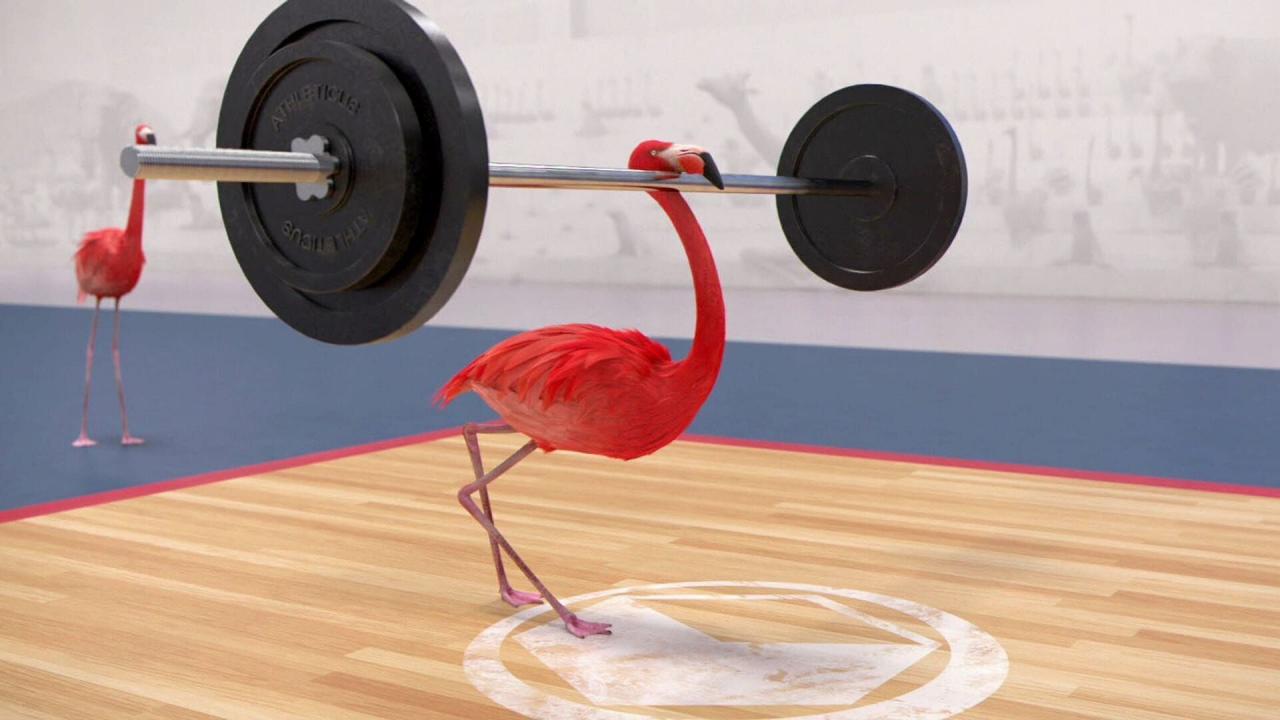 Athleticus S1 E28