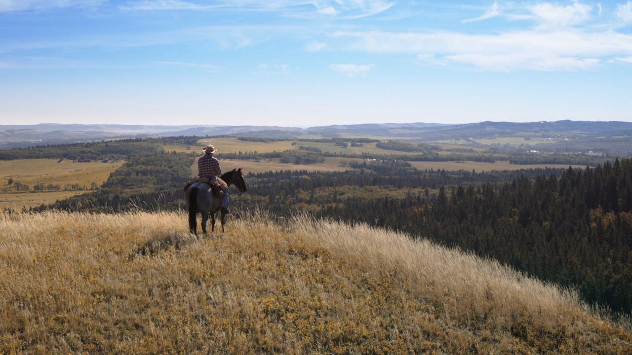 Heartland