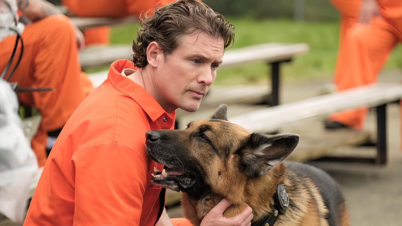 Hudson et Rex S6 E8