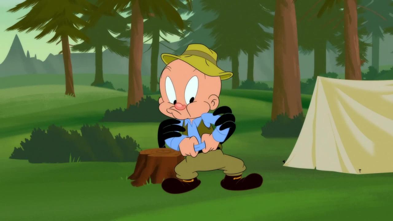 Looney Tunes Cartoons