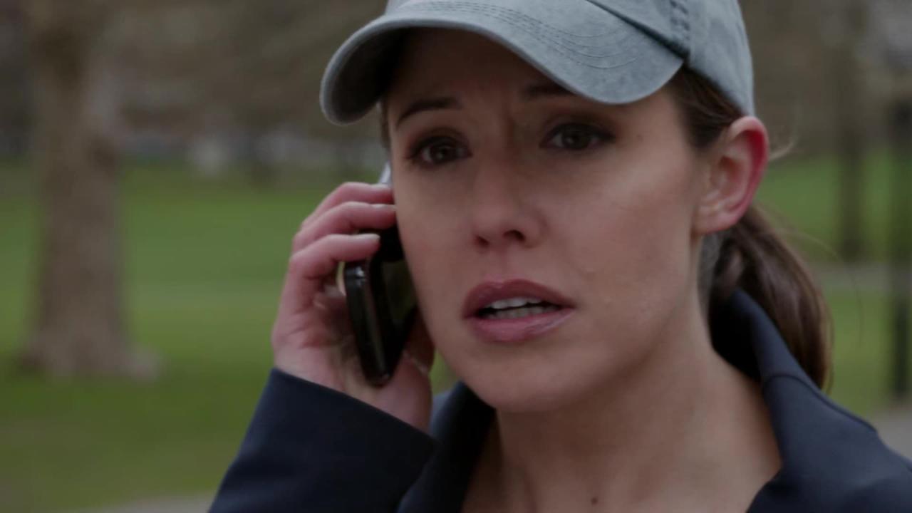 New York Unité Spéciale