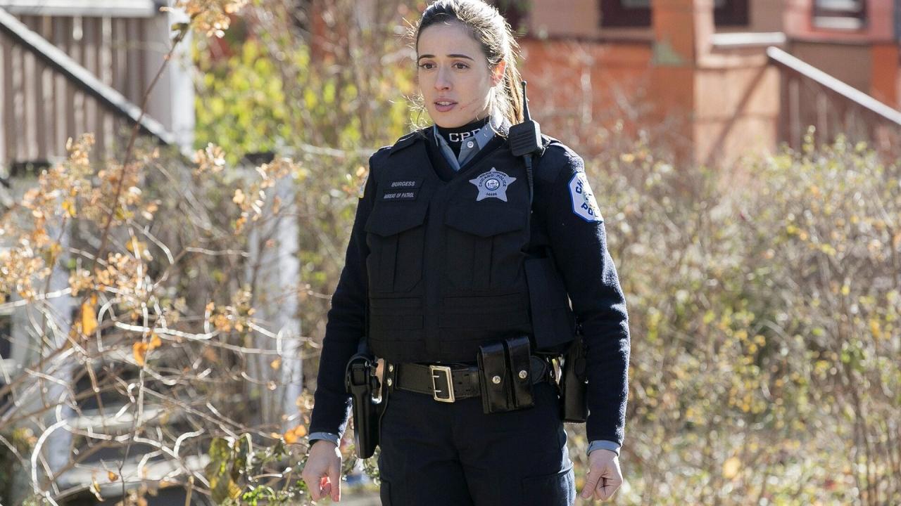 Chicago Police Department S2 E12