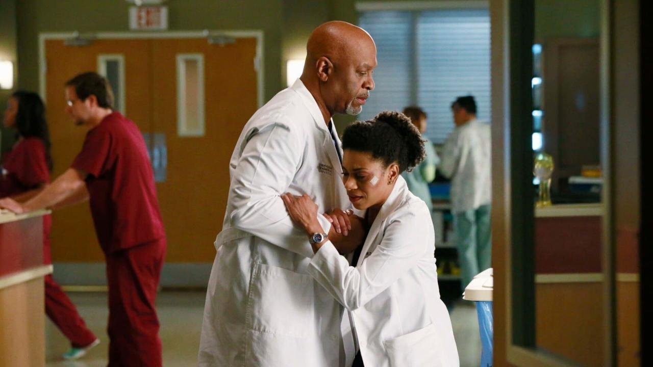 Grey's Anatomy S11 E16