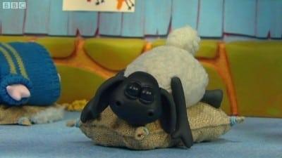 Voici Timmy
