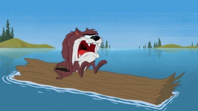 Looney Tunes Cartoons