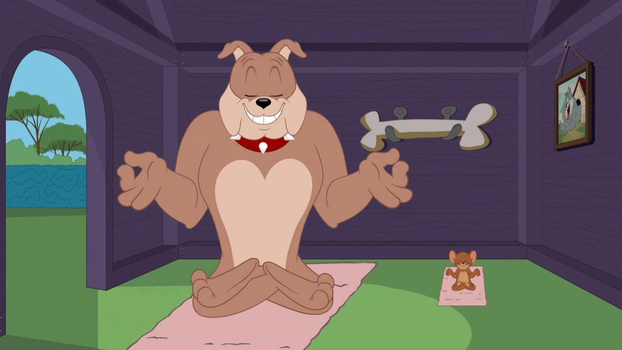 Tom et Jerry Show