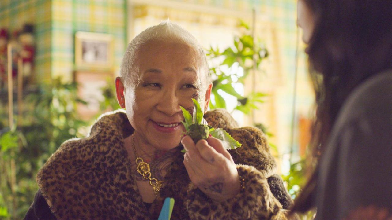 Awkwafina Is Nora from Queens