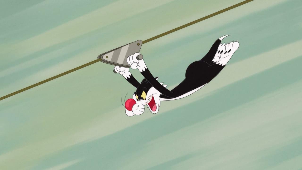 Looney Tunes Cartoons
